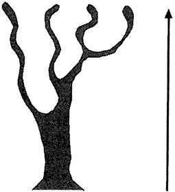 Иллюстрация к книге — Истина и красота. Всемирная история симметрии [i_052.jpg]