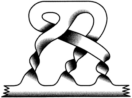 Иллюстрация к книге — Истина и красота. Всемирная история симметрии [i_057.jpg]