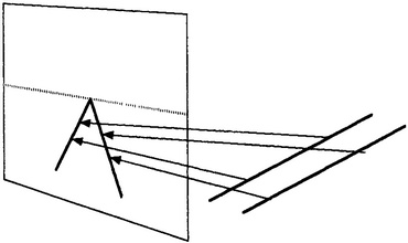 Иллюстрация к книге — Истина и красота. Всемирная история симметрии [i_059.jpg]