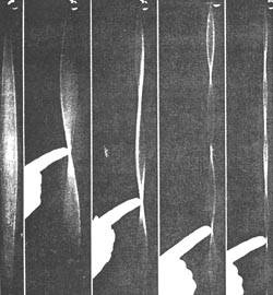 Иллюстрация к книге — Великая теорема Ферма [doc2fb_image_02000002.jpg]