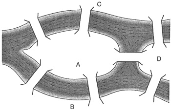 Иллюстрация к книге — Великая теорема Ферма [doc2fb_image_03000011.jpg]
