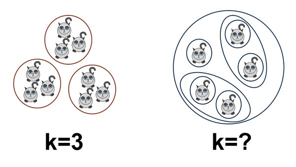Иллюстрация к книге — Статистика и котики [image127_580a0e7129cf8cad07e5d571_jpg.jpg]