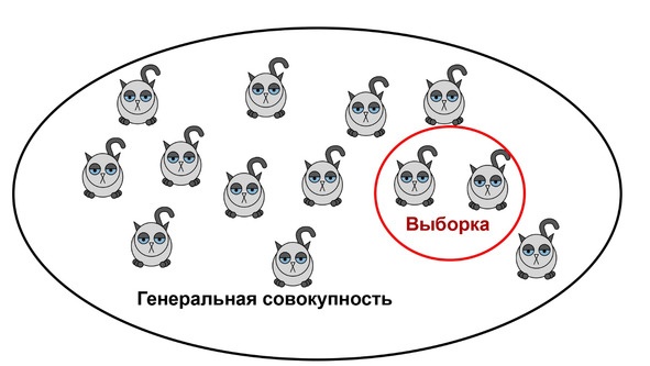 Иллюстрация к книге — Статистика и котики [image14_580a0e193c2f89bf3b452b7f_jpg.jpg]