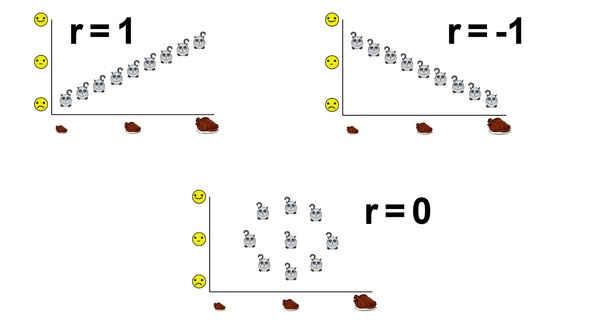 Иллюстрация к книге — Статистика и котики [image96_580a0e40119d7557734076d8_jpg.jpg]