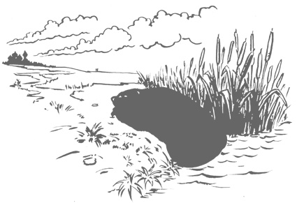 Иллюстрация к книге — Озадачник. 133 вопроса на знание логики, математики и физики [i_094.jpg]