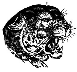 Иллюстрация к книге — Научные фокусы и загадки [i_007.jpg]