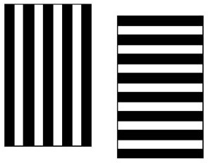 Иллюстрация к книге — Научные фокусы и загадки [i_008.jpg]