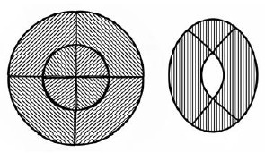 Иллюстрация к книге — Научные фокусы и загадки [i_043.jpg]