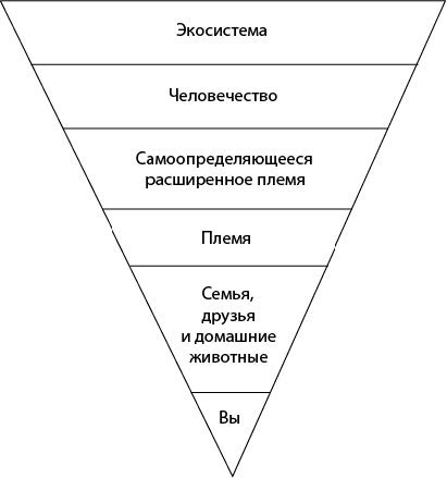 Иллюстрация к книге — Рискуя собственной шкурой. Скрытая асимметрия повседневной жизни [i_009.jpg]
