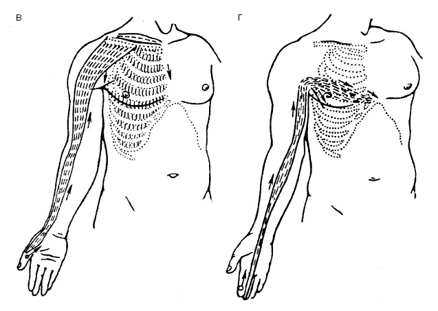 Иллюстрация к книге — Детский массаж. От рождения до 7 лет [i_023.jpg]