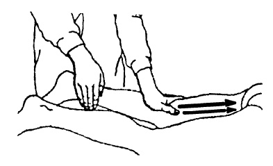 Иллюстрация к книге — Детский массаж. От рождения до 7 лет [i_050.jpg]