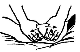 Иллюстрация к книге — Детский массаж. От рождения до 7 лет [i_065.jpg]