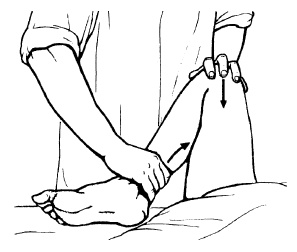 Иллюстрация к книге — Детский массаж. От рождения до 7 лет [i_087.jpg]