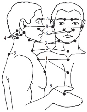 Иллюстрация к книге — Основы медицинских знаний и здорового образа жизни [_1_37.jpg]