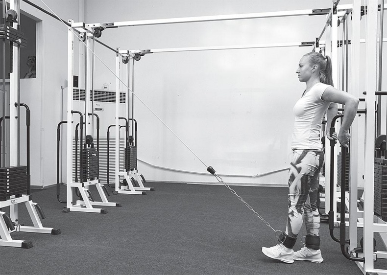 Иллюстрация к книге — Азбука здоровья. Все о позвоночнике и суставах от А до Я [_136.jpg]