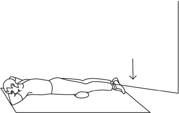 Иллюстрация к книге — Азбука здоровья. Все о позвоночнике и суставах от А до Я [_166.jpg]