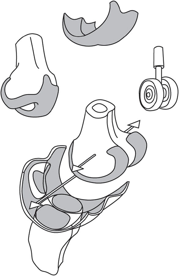 Иллюстрация к книге — Азбука здоровья. Все о позвоночнике и суставах от А до Я [_169.jpg]
