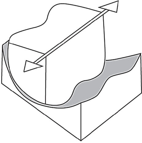 Иллюстрация к книге — Азбука здоровья. Все о позвоночнике и суставах от А до Я [_170.jpg]