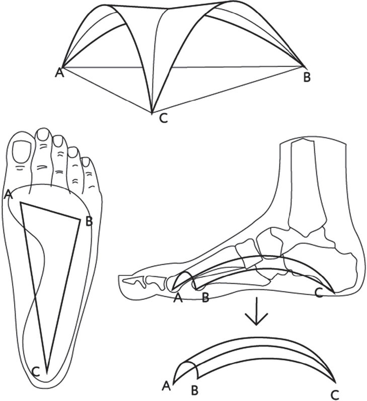 Иллюстрация к книге — Азбука здоровья. Все о позвоночнике и суставах от А до Я [_192.jpg]