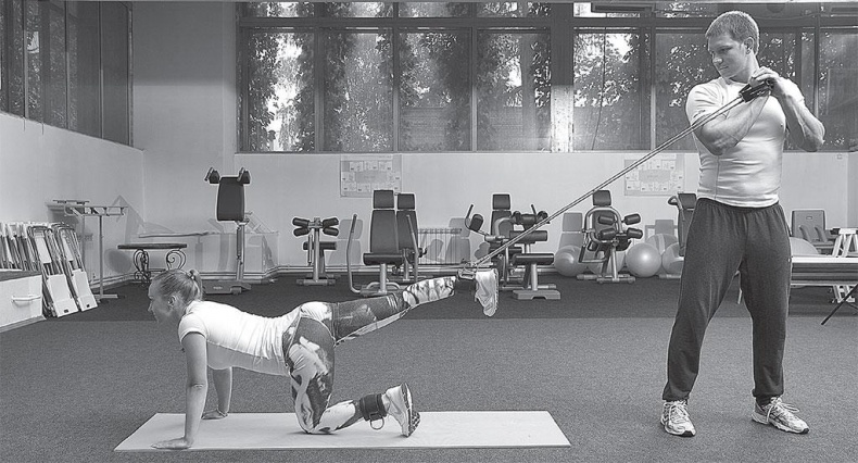 Иллюстрация к книге — Азбука здоровья. Все о позвоночнике и суставах от А до Я [_24.jpg]