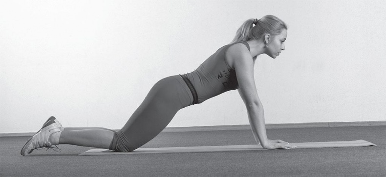 Иллюстрация к книге — Азбука здоровья. Все о позвоночнике и суставах от А до Я [_72.jpg]