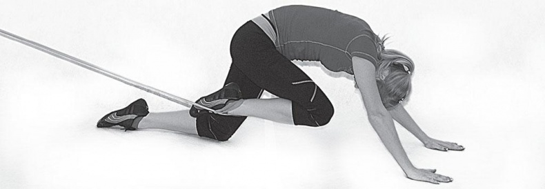 Иллюстрация к книге — Азбука здоровья. Все о позвоночнике и суставах от А до Я [_82.jpg]