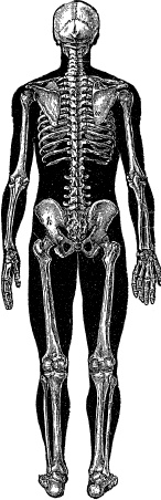 Иллюстрация к книге — Модицина. Encyclopedia Pathologica [_109.jpg]