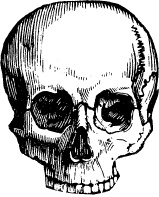 Иллюстрация к книге — Модицина. Encyclopedia Pathologica [_112.jpg]