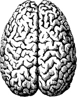 Иллюстрация к книге — Модицина. Encyclopedia Pathologica [_120.jpg]