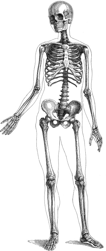 Иллюстрация к книге — Модицина. Encyclopedia Pathologica [_2.jpg]