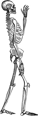 Иллюстрация к книге — Модицина. Encyclopedia Pathologica [_47.jpg]