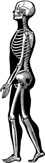 Иллюстрация к книге — Модицина. Encyclopedia Pathologica [_48.jpg]