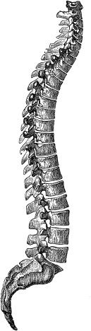 Иллюстрация к книге — Модицина. Encyclopedia Pathologica [_72.jpg]