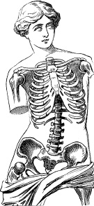 Иллюстрация к книге — Модицина. Encyclopedia Pathologica [_81.jpg]