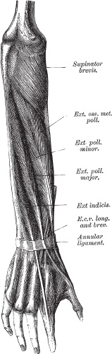 Иллюстрация к книге — Модицина 2. Апология [_101.jpg]