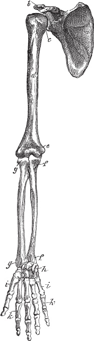 Иллюстрация к книге — Модицина 2. Апология [_103.jpg]