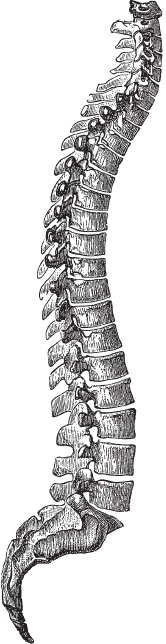 Иллюстрация к книге — Модицина 2. Апология [_110.jpg]