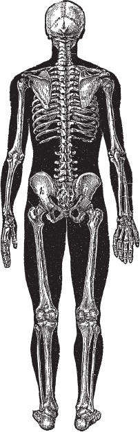 Иллюстрация к книге — Модицина 2. Апология [_121.jpg]