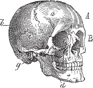 Иллюстрация к книге — Модицина 2. Апология [_16.jpg]
