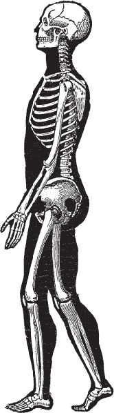 Иллюстрация к книге — Модицина 2. Апология [_18.jpg]