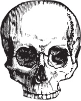 Иллюстрация к книге — Модицина 2. Апология [_19.jpg]