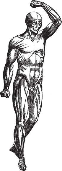 Иллюстрация к книге — Модицина 2. Апология [_21.jpg]