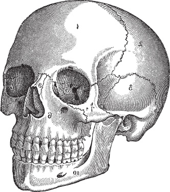 Иллюстрация к книге — Модицина 2. Апология [_24.jpg]