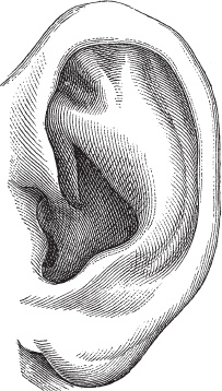 Иллюстрация к книге — Модицина 2. Апология [_29.jpg]