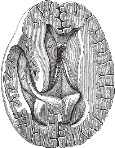 Иллюстрация к книге — Модицина 2. Апология [_35.jpg]