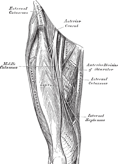 Иллюстрация к книге — Модицина 2. Апология [_37.jpg]