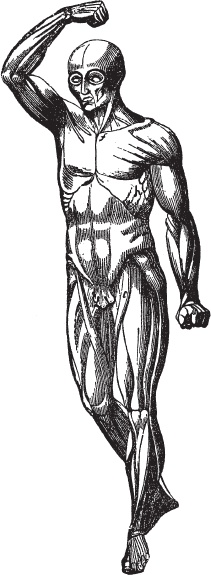 Иллюстрация к книге — Модицина 2. Апология [_47.jpg]