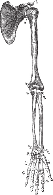 Иллюстрация к книге — Модицина 2. Апология [_54.jpg]
