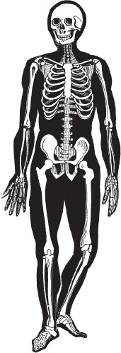 Иллюстрация к книге — Модицина 2. Апология [_58.jpg]