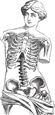Иллюстрация к книге — Модицина 2. Апология [_60.jpg]